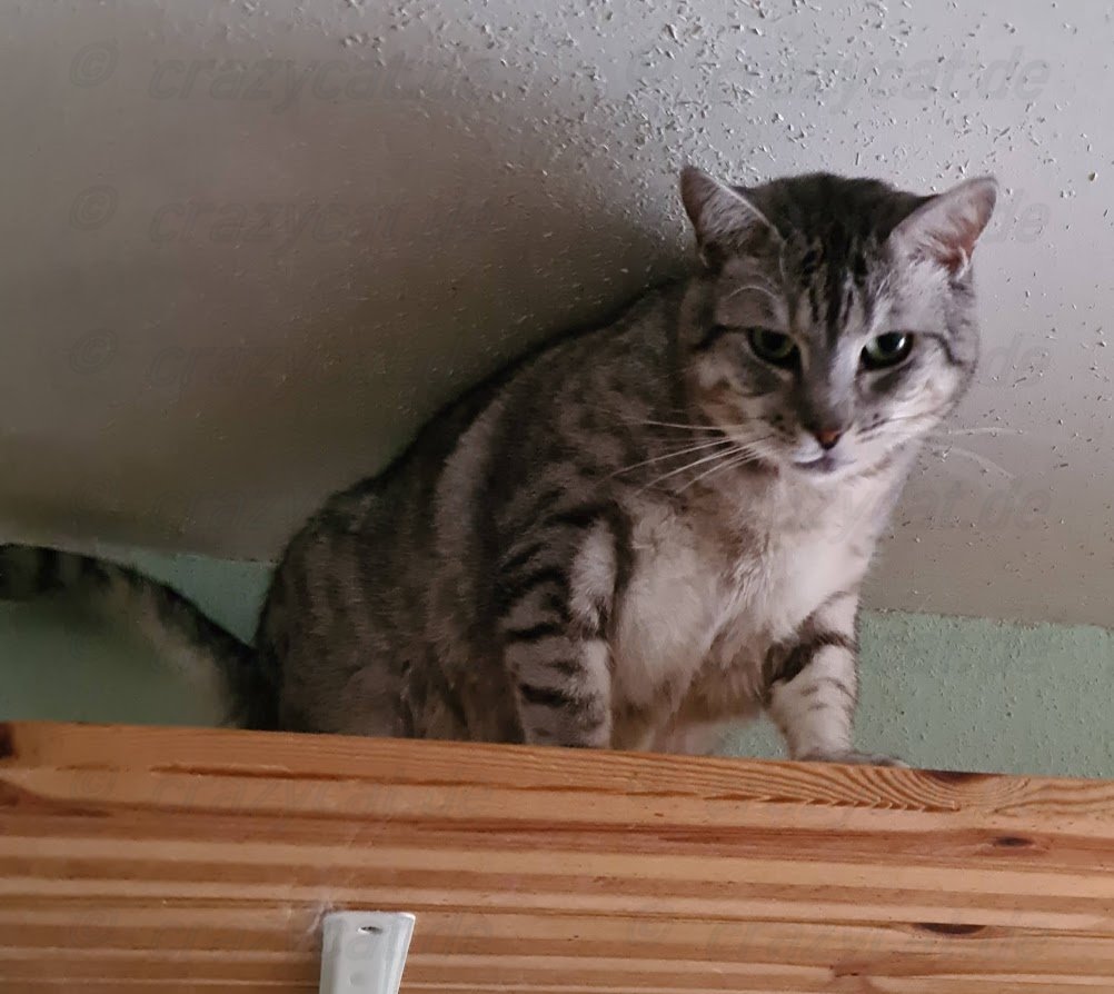 Fussel auf dem Catwalk