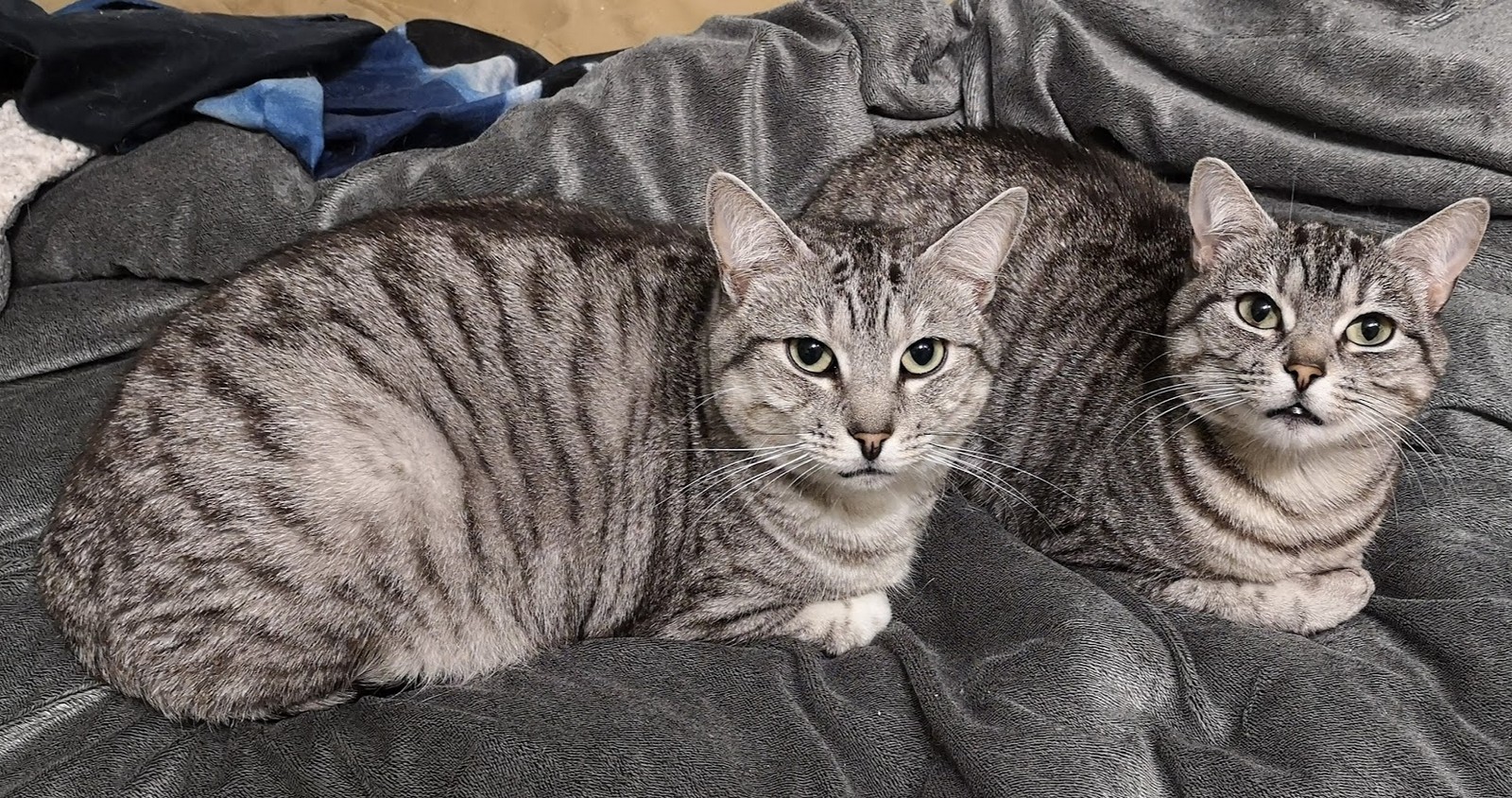 Familientreff im Bett